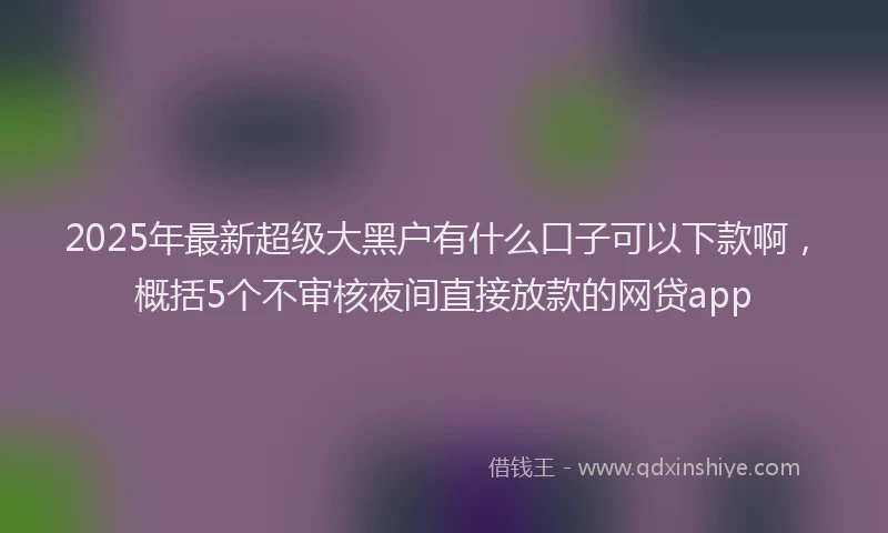 2025年最新超级大黑户有什么口子可以下款啊，概括5个不审核夜间直接放款的网贷app