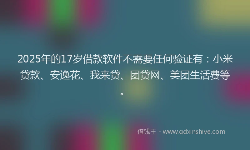 2025年的17岁借款软件不需要任何验证有：小米贷款、安逸花、我来贷、团贷网、美团生活费等。
