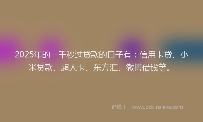 2025年的一千秒过贷款的口子有：信用卡贷、小米贷款、超人卡、东方汇、微博借钱等。