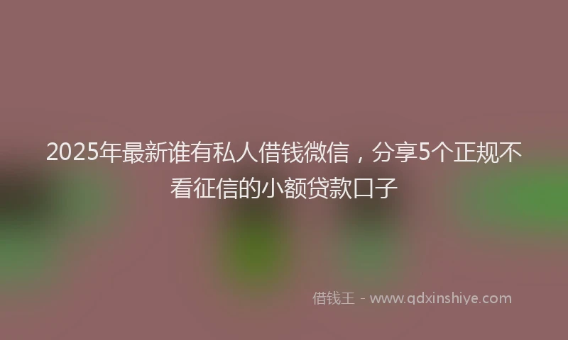 2025年最新谁有私人借钱微信，分享5个正规不看征信的小额贷款口子