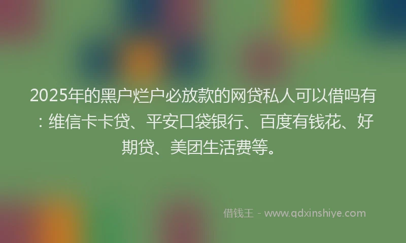 2025年的黑户烂户必放款的网贷私人可以借吗有：维信卡卡贷、平安口袋银行、百度有钱花、好期贷、美团生活费等。