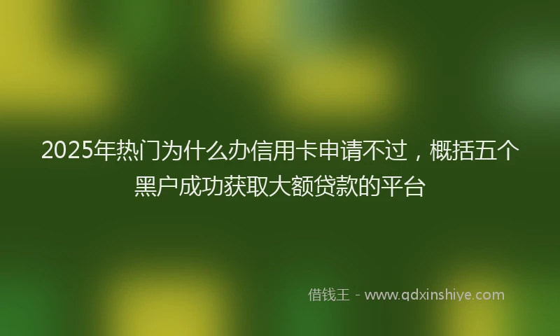 2025年热门为什么办信用卡申请不过，概括五个黑户成功获取大额贷款的平台