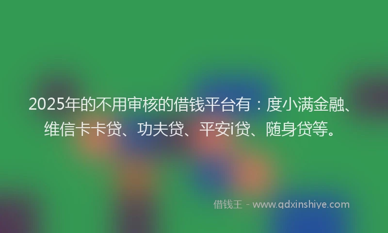 2025年的不用审核的借钱平台有：度小满金融、维信卡卡贷、功夫贷、平安i贷、随身贷等。