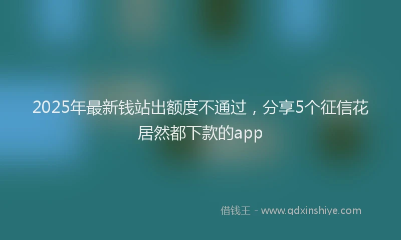 2025年最新钱站出额度不通过，分享5个征信花居然都下款的app