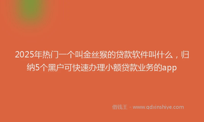 2025年热门一个叫金丝猴的贷款软件叫什么，归纳5个黑户可快速办理小额贷款业务的app