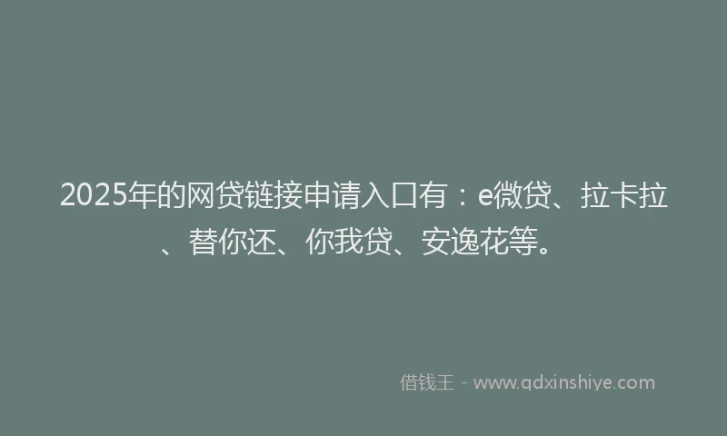 2025年的网贷链接申请入口有：e微贷、拉卡拉、替你还、你我贷、安逸花等。