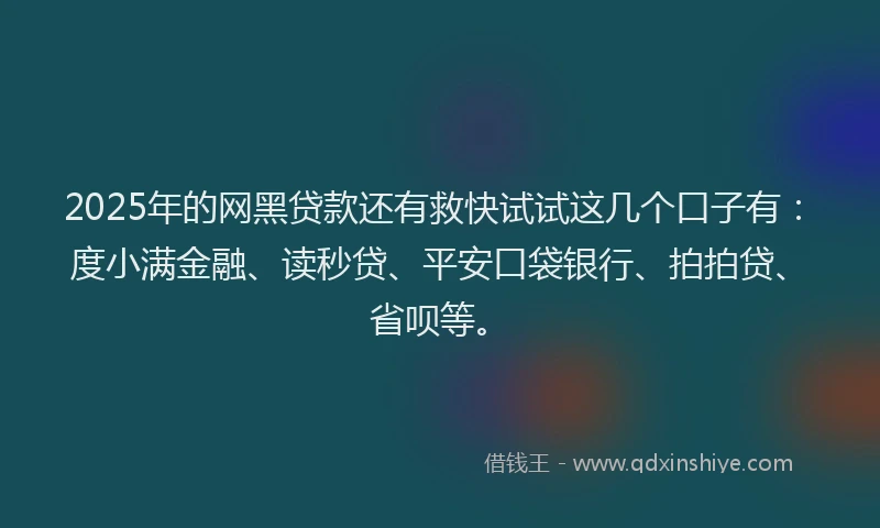 2025年的网黑贷款还有救快试试这几个口子有：度小满金融、读秒贷、平安口袋银行、拍拍贷、省呗等。