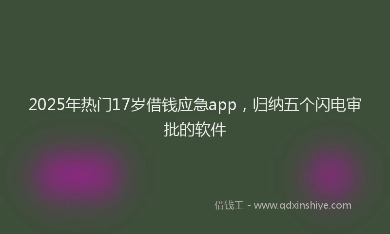2025年热门17岁借钱应急app，归纳五个闪电审批的软件