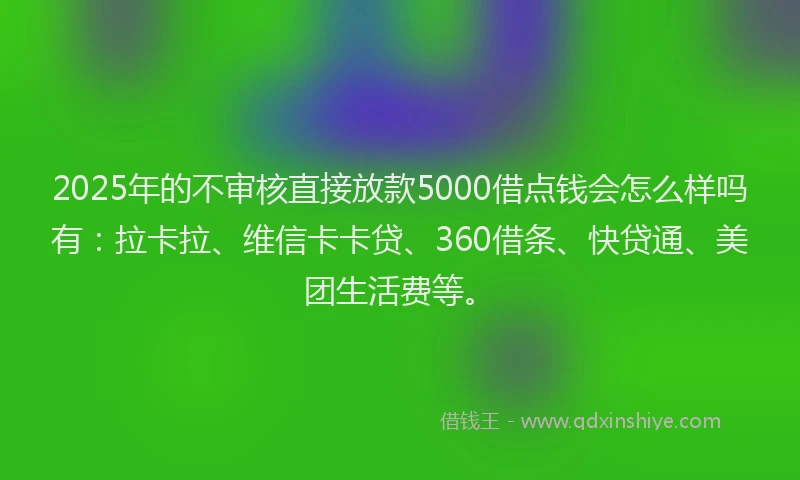 2025年的不审核直接放款5000借点钱会怎么样吗有：拉卡拉、维信卡卡贷、360借条、快贷通、美团生活费等。