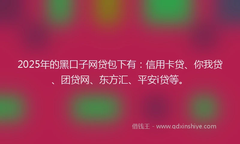 2025年的黑口子网贷包下有：信用卡贷、你我贷、团贷网、东方汇、平安i贷等。