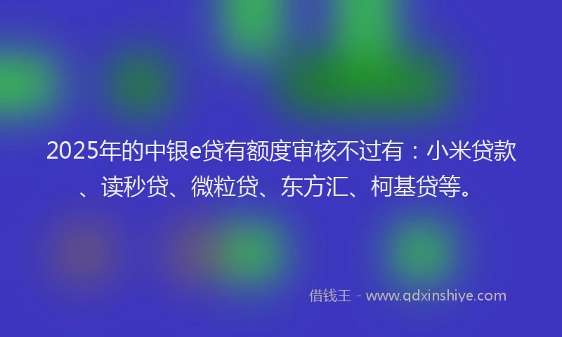 2025年的中银e贷有额度审核不过有：小米贷款、读秒贷、微粒贷、东方汇、柯基贷等。