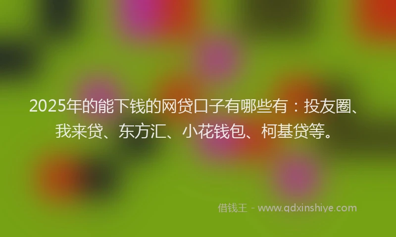 2025年的能下钱的网贷口子有哪些有：投友圈、我来贷、东方汇、小花钱包、柯基贷等。