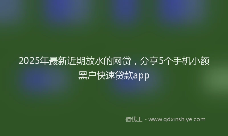 2025年最新近期放水的网贷，分享5个手机小额黑户快速贷款app