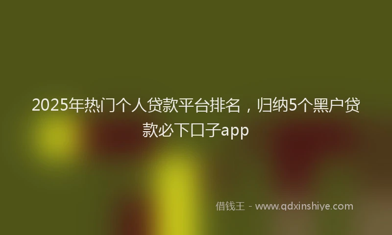 2025年热门个人贷款平台排名，归纳5个黑户贷款必下口子app