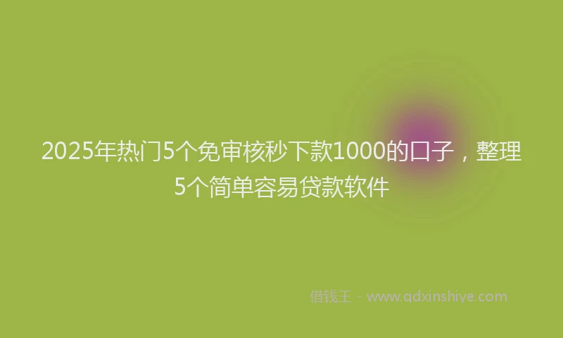 2025年热门5个免审核秒下款1000的口子，整理5个简单容易贷款软件