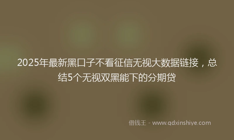 2025年最新黑口子不看征信无视大数据链接，总结5个无视双黑能下的分期贷
