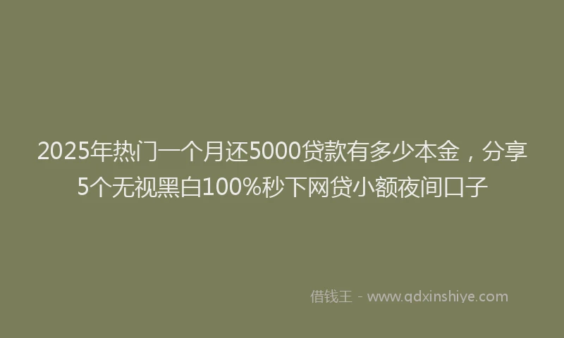 2025年热门一个月还5000贷款有多少本金，分享5个无视黑白100%秒下网贷小额夜间口子