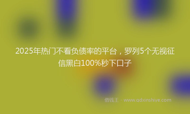 2025年热门不看负债率的平台，罗列5个无视征信黑白100%秒下口子