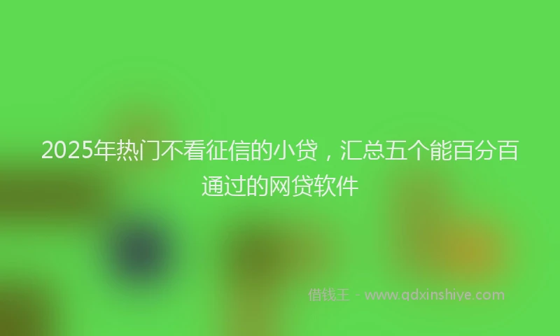 2025年热门不看征信的小贷，汇总五个能百分百通过的网贷软件