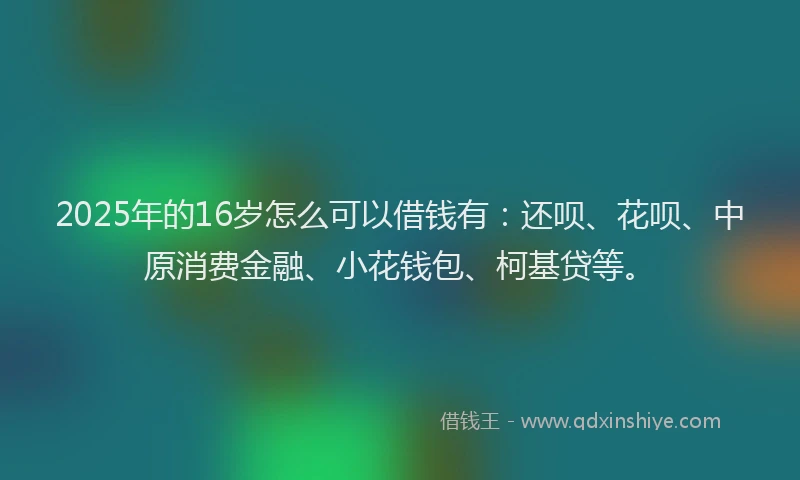 2025年的16岁怎么可以借钱有：还呗、花呗、中原消费金融、小花钱包、柯基贷等。