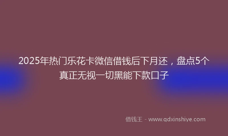2025年热门乐花卡微信借钱后下月还，盘点5个真正无视一切黑能下款口子