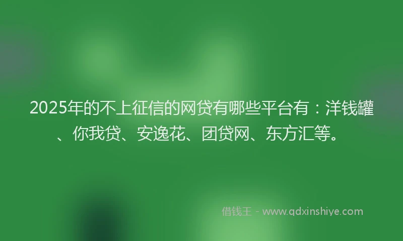2025年的不上征信的网贷有哪些平台有：洋钱罐、你我贷、安逸花、团贷网、东方汇等。