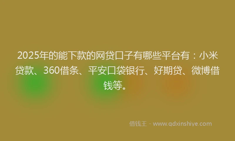 2025年的能下款的网贷口子有哪些平台有：小米贷款、360借条、平安口袋银行、好期贷、微博借钱等。