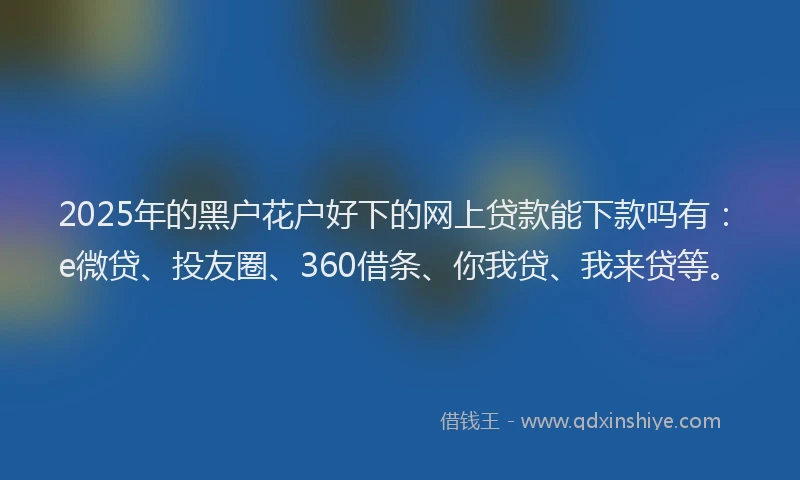 2025年的黑户花户好下的网上贷款能下款吗有：e微贷、投友圈、360借条、你我贷、我来贷等。