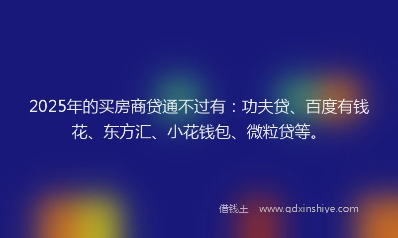 2025年的买房商贷通不过有：功夫贷、百度有钱花、东方汇、小花钱包、微粒贷等。