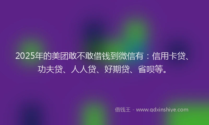 2025年的美团敢不敢借钱到微信有：信用卡贷、功夫贷、人人贷、好期贷、省呗等。