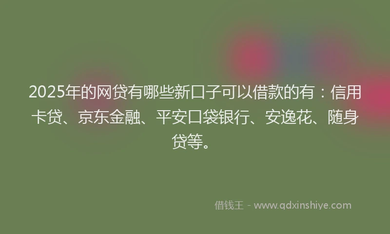 2025年的网贷有哪些新口子可以借款的有：信用卡贷、京东金融、平安口袋银行、安逸花、随身贷等。