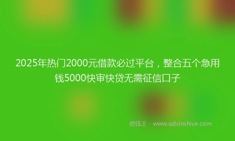2025年热门2000元借款必过平台，整合五个急用钱5000快审快贷无需征信口子