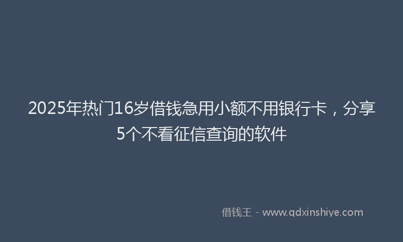 2025年热门16岁借钱急用小额不用银行卡，分享5个不看征信查询的软件