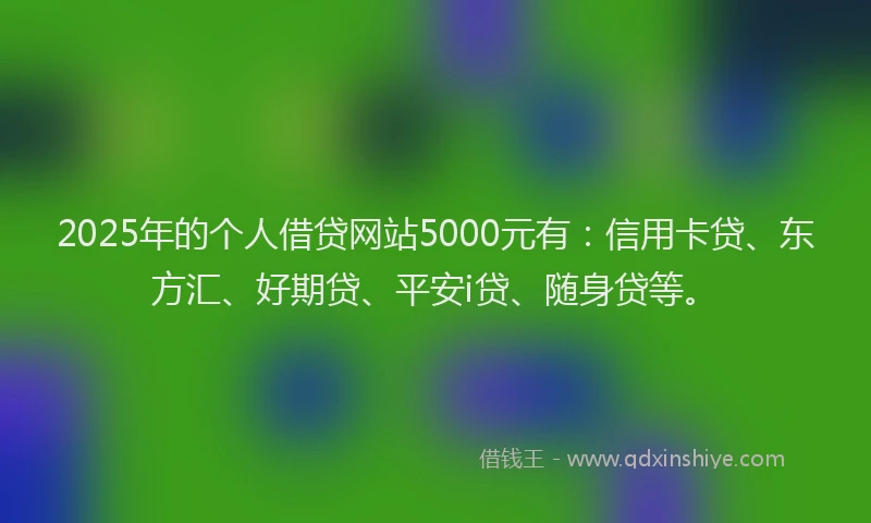 2025年的个人借贷网站5000元有：信用卡贷、东方汇、好期贷、平安i贷、随身贷等。