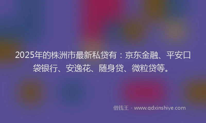 2025年的株洲市最新私贷有：京东金融、平安口袋银行、安逸花、随身贷、微粒贷等。