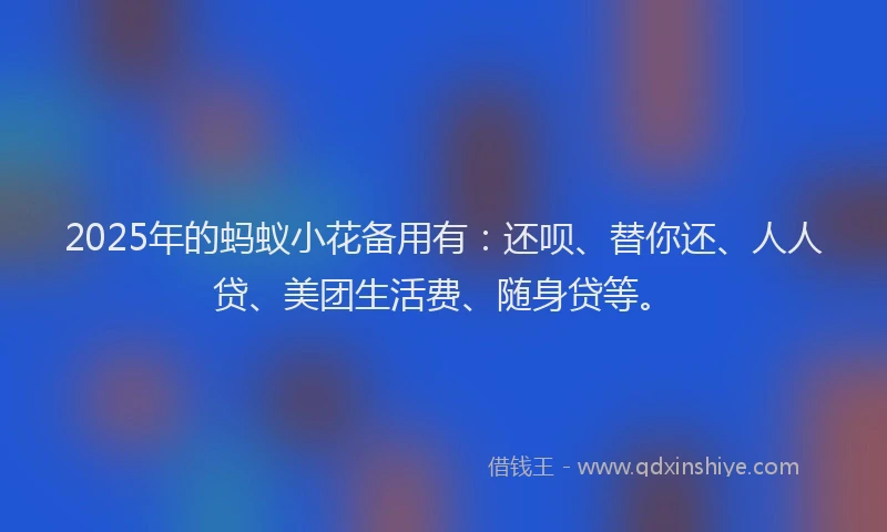 2025年的蚂蚁小花备用有：还呗、替你还、人人贷、美团生活费、随身贷等。
