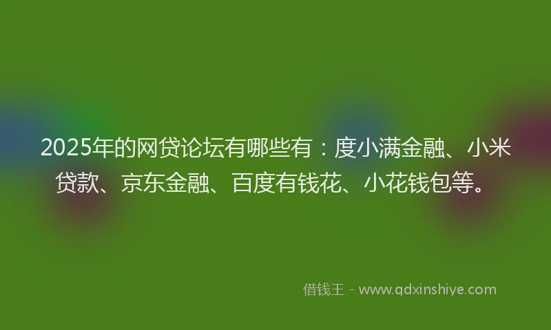 2025年的网贷论坛有哪些有：度小满金融、小米贷款、京东金融、百度有钱花、小花钱包等。