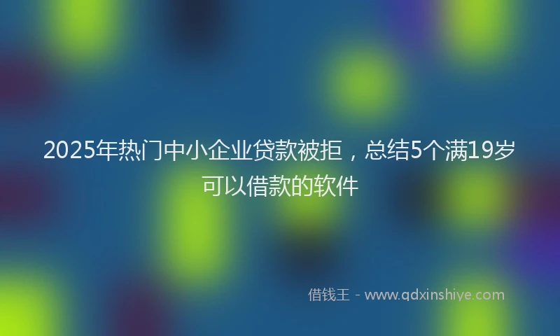 2025年热门中小企业贷款被拒，总结5个满19岁可以借款的软件