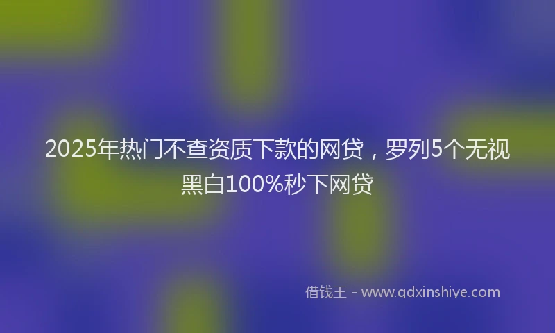 2025年热门不查资质下款的网贷，罗列5个无视黑白100%秒下网贷