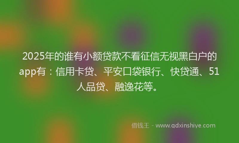 2025年的谁有小额贷款不看征信无视黑白户的app有：信用卡贷、平安口袋银行、快贷通、51人品贷、融逸花等。