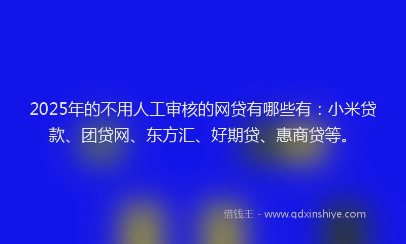 2025年的不用人工审核的网贷有哪些有：小米贷款、团贷网、东方汇、好期贷、惠商贷等。