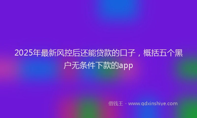 2025年最新风控后还能贷款的口子，概括五个黑户无条件下款的app