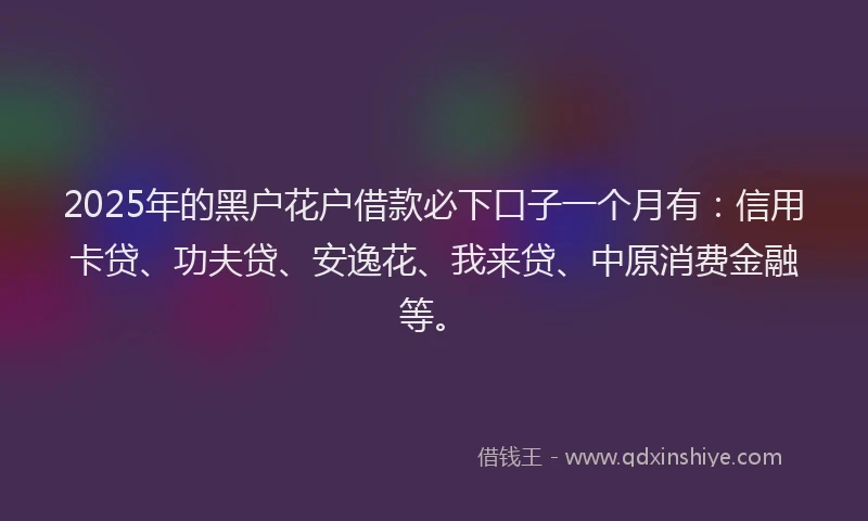 2025年的黑户花户借款必下口子一个月有：信用卡贷、功夫贷、安逸花、我来贷、中原消费金融等。