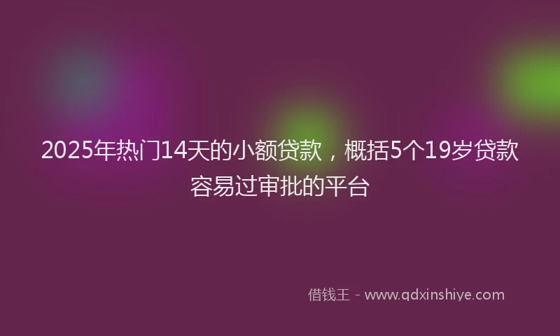 2025年热门14天的小额贷款，概括5个19岁贷款容易过审批的平台