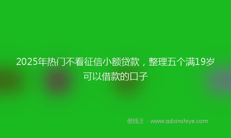 2025年热门不看征信小额贷款，整理五个满19岁可以借款的口子