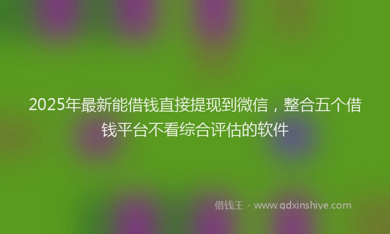 2025年最新能借钱直接提现到微信，整合五个借钱平台不看综合评估的软件