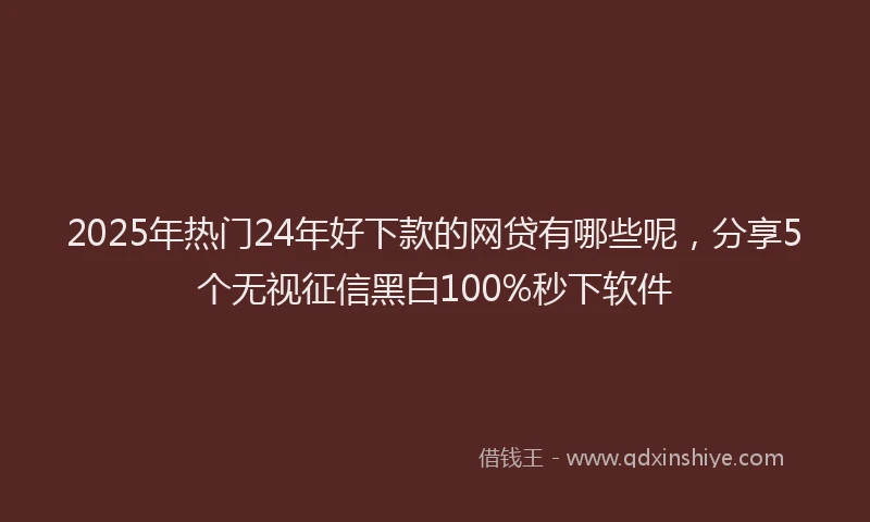 2025年热门24年好下款的网贷有哪些呢，分享5个无视征信黑白100%秒下软件