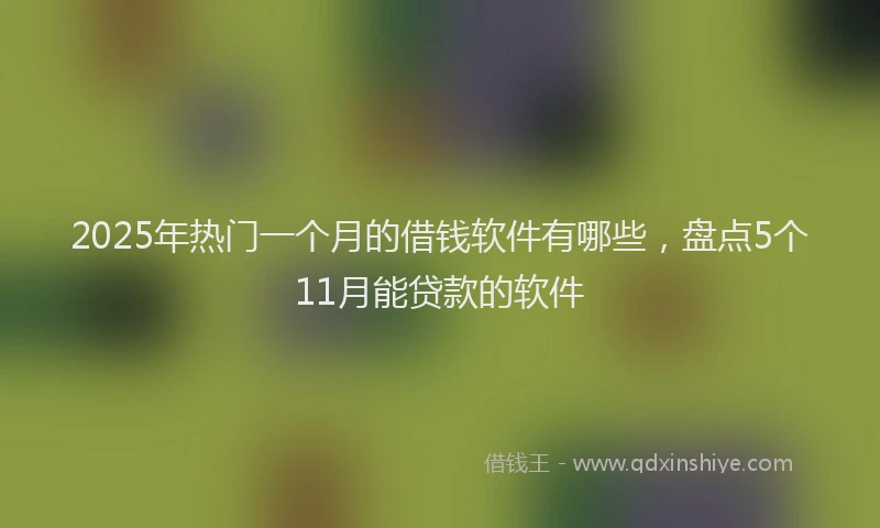 2025年热门一个月的借钱软件有哪些，盘点5个11月能贷款的软件
