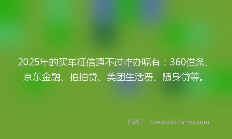 2025年的买车征信通不过咋办呢有：360借条、京东金融、拍拍贷、美团生活费、随身贷等。