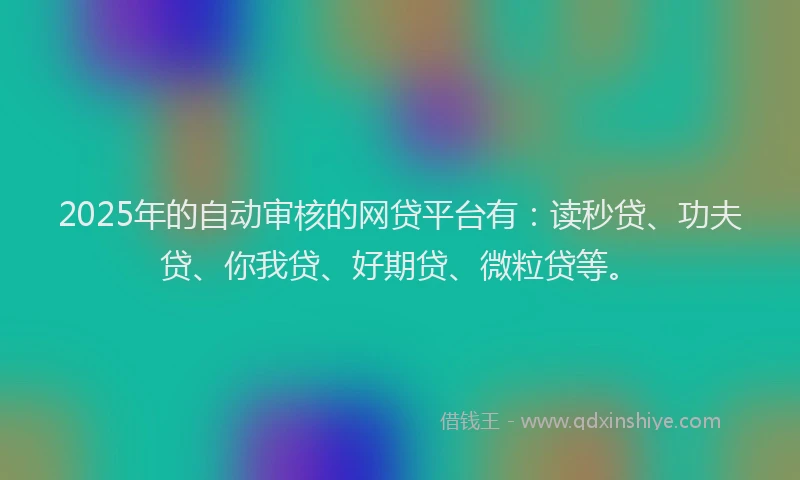 2025年的自动审核的网贷平台有：读秒贷、功夫贷、你我贷、好期贷、微粒贷等。